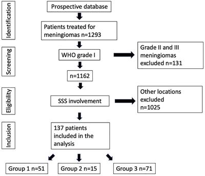 Meningioma involving the superior sagittal sinus: long-term outcome after robotic radiosurgery in primary and recurrent situation